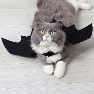 Cute Halloween Cat Dog Costume Small Pet Cat Bat Wings  Fancy Dress Up Halloween Cat Accessories 2019 Halloween Decorations