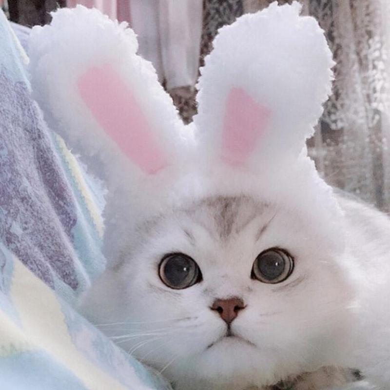 Cute Pet Costume Cosplay Rabbit Ears Cap Hat for Cat Halloween Xmas Clothes Fancy Dress with Ears Autumn Winter  Paty Accessorie