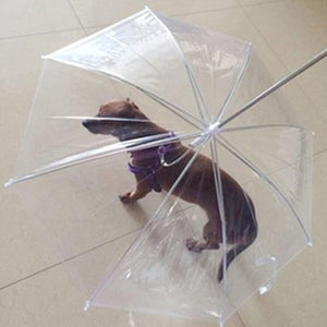 Dog Walking Waterproof Clear Cover Built-in Leash Rain Sleet Snow Pet Umbrella Pet Products