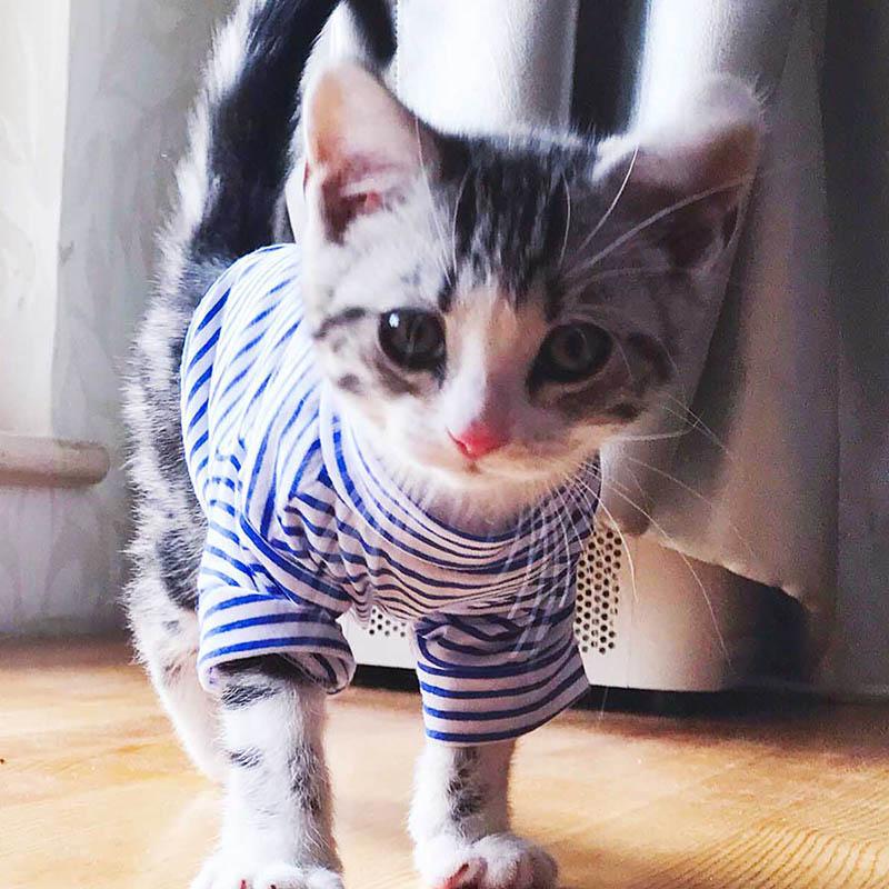 Striped Dog Cat Clothing Cotton Pet Clothes For Small Dogs Costume Cats Shirt Chihuahua Yorkies Kitten Outfit Cat Coat Costume