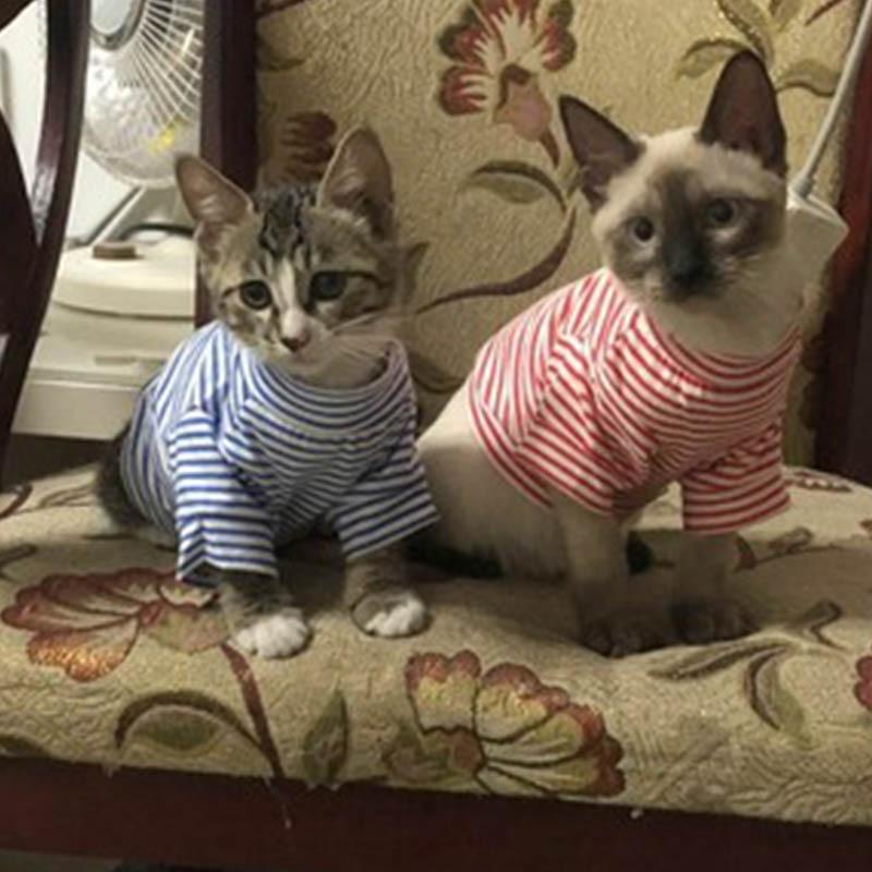 Striped Dog Cat Clothing Cotton Pet Clothes For Small Dogs Costume Cats Shirt Chihuahua Yorkies Kitten Outfit Cat Coat Costume