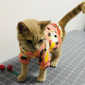 Sweet Pet Cat Clothes for Cats Winter Cat Costume Katten Gotas Kedi Hoodie Sweater Puppy Clothing Pet Products disfraz para gato